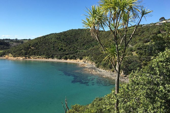 Waiheke Island Double Headland Coastal Walk - What the $260.64 price includes