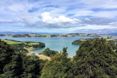 Waiheke Island Experience Tour