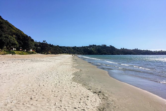 Waiheke Island Experience Tour - Waiheke Distilling Co and a different kind of tasting