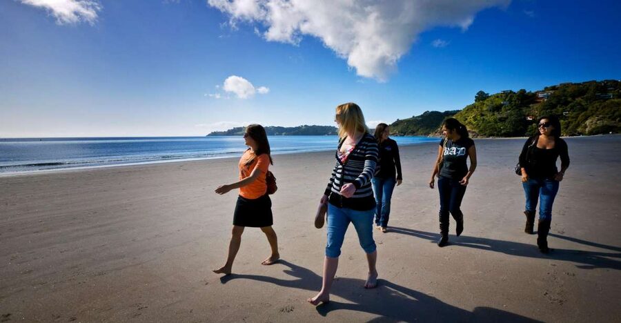 Waiheke Island: Ferry & Hop-On Hop-Off Explorer Bus Tickets - A realistic one-day plan