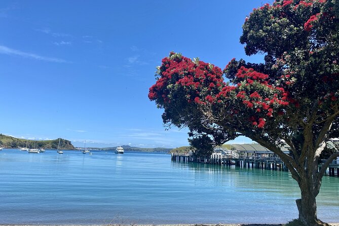 Waiheke Island Gourmet Food and Wine Tour - A food-first way to see Waiheke Island