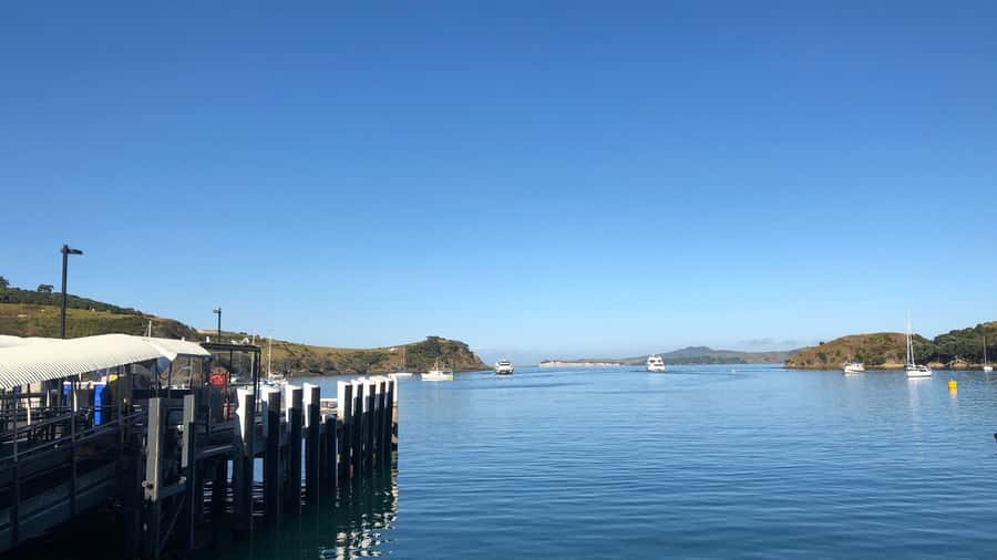 Waiheke Island Gourmet Food and Wine Tour with Platter Lunch - Starting at Matiatia Wharf at 9:45