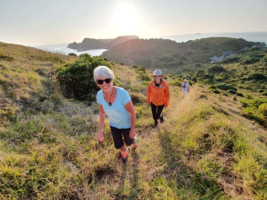 Waiheke Island: Gulf Marine Park Sailing Adventure & Lunch - Lunch With Local Produce on Board