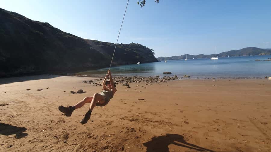 Waiheke Island: Gulf Marine Park Sailing Adventure & Lunch - Swimming, Snorkelling and Paddleboarding