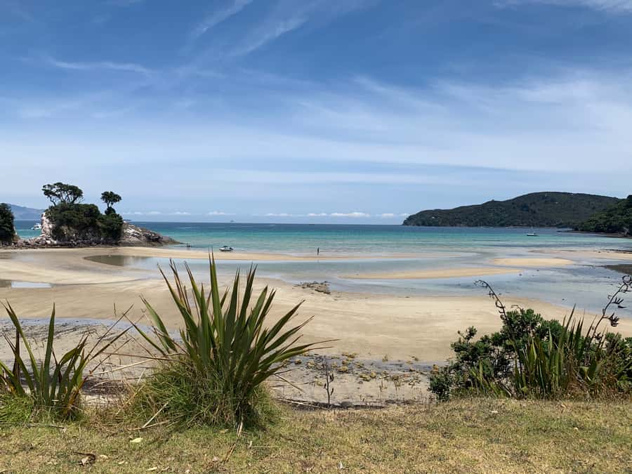 Waiheke Island: Gulf Marine Park Sailing Adventure & Lunch - Who Will Get the Most From It