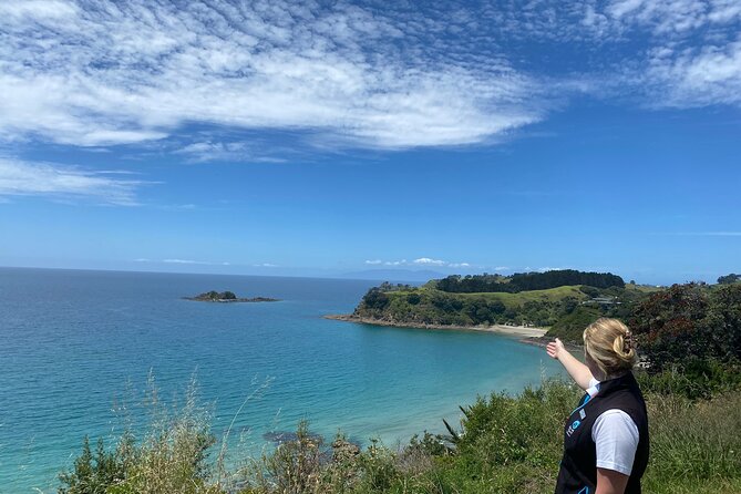 Waiheke Island Half Day Scenic Wine and Lunch - Why this four-hour Waiheke tour works