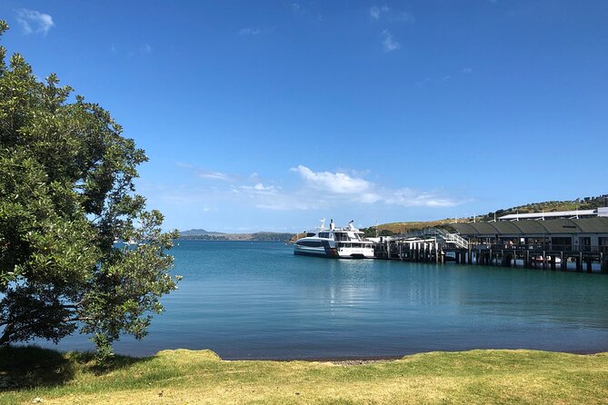 Waiheke Island Half Day Scenic Wine and Lunch - Goldie Estate or Stonyridge for wine and lunch