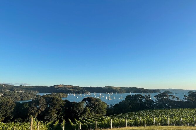 Waiheke Island Half Day Scenic Wine and Lunch - The guide can shape the whole afternoon