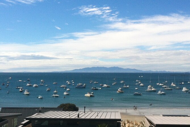 Waiheke Island Half Day Scenic Wine and Lunch - What the price includes, and what it does not