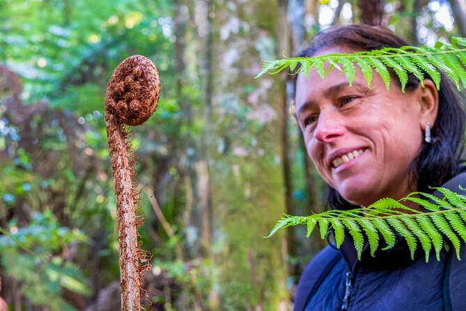 Waiheke Island History and Heritage Tour - Native bush and the old pa site