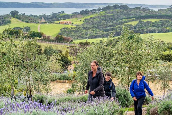 Waiheke Island History and Heritage Tour - Lunch at a local cafe