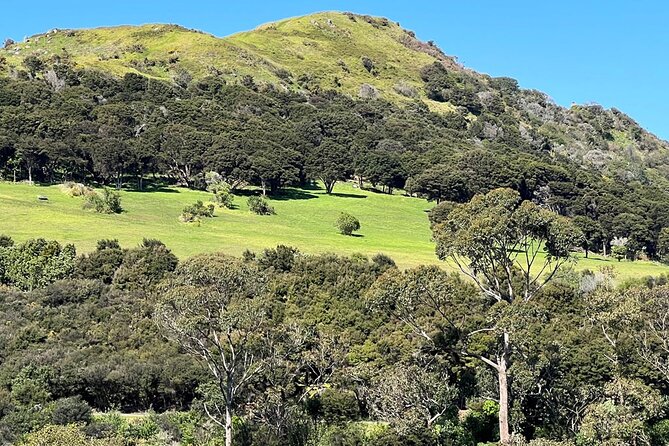 Waiheke Island History and Heritage Tour - Optional tastings and a flexible finish