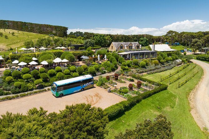Waiheke Island Hop-On Hop-Off Explorer Bus - A ferry crossing that sets up the day