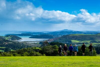 Premium Vineyard, Wine Tasting and Bush Walk
