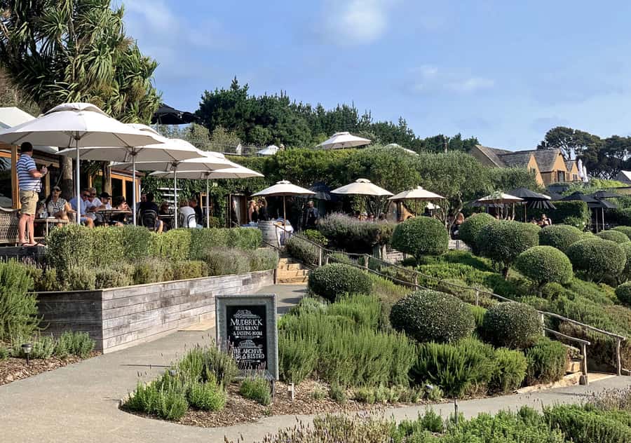 Waiheke Island: Premium Vineyard, Wine Tasting and Bush Walk - The guide can make the walk special