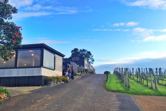 Waiheke Island Premium Wine Tour with Tastings - Key points to know before booking