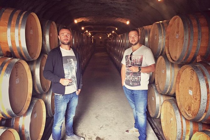 Waiheke Island Premium Wine Tour with Tastings - Weather, views, and what to bring