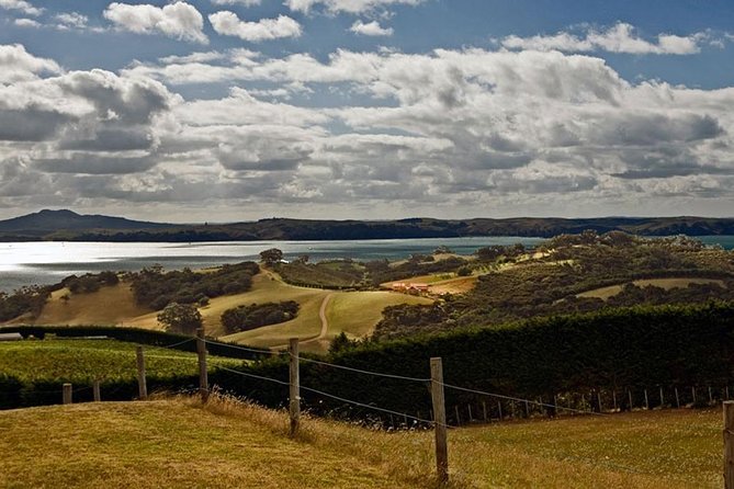 Waiheke Island Private Art Tour - Lunch at an artist’s home and studio