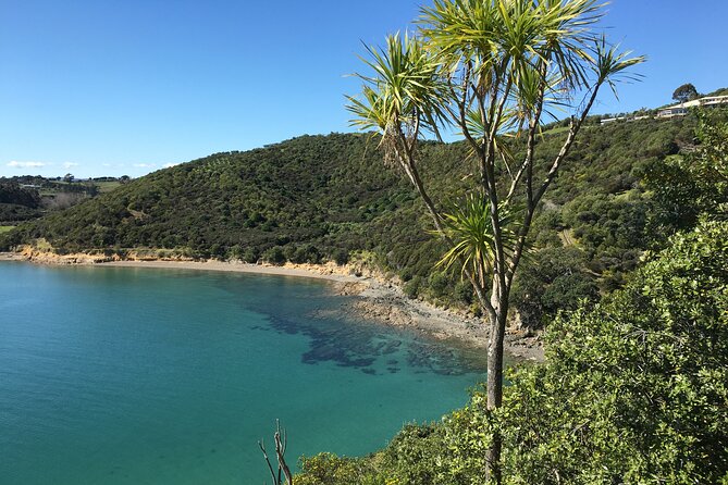 Waiheke Island Private Double Headland Walk - Why the small private format matters