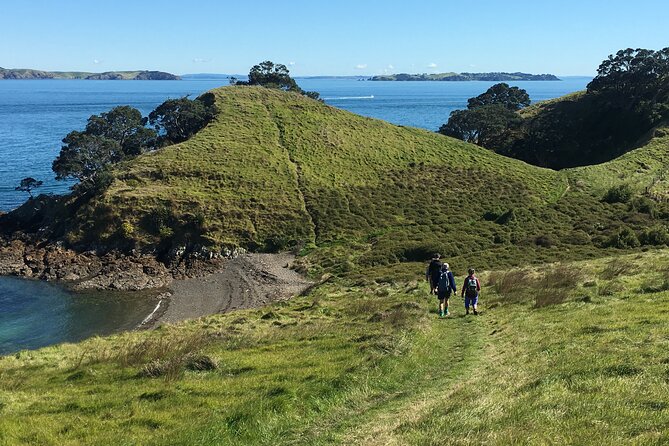 Waiheke Island Private Double Headland Walk - Price, inclusions, and the value of a guided day