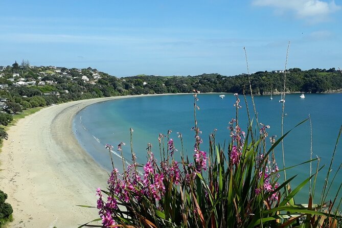 Waiheke Island Private Tours - Choosing between wineries, beaches, art, and food