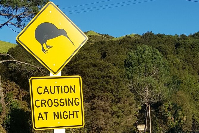 Waiheke Island Private Tours - The Briar factor: local stories and a jazz soundtrack