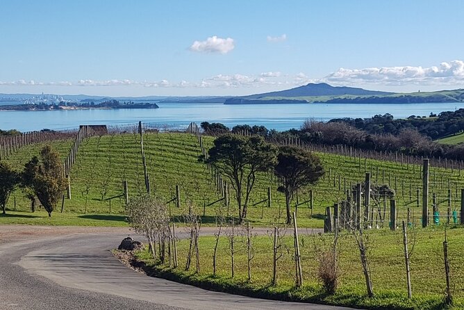Waiheke Island Private Tours - Why private touring can be worth the price