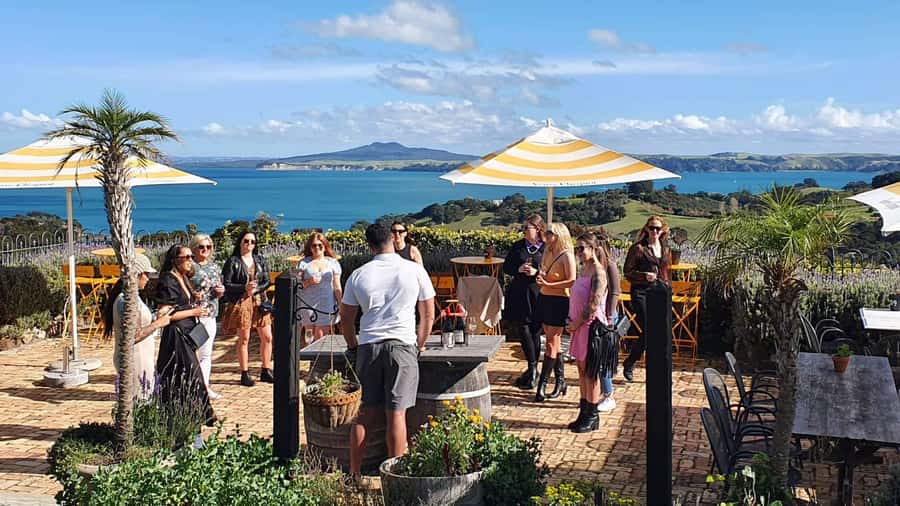Waiheke Island: Scenic Island Wine Tour & Local Wine Tasting - Key points to know before booking