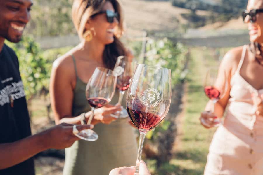 Waiheke Island: Scenic Island Wine Tour & Local Wine Tasting - Why Waiheke works so well for a wine day