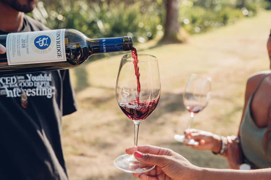 Waiheke Island: Scenic Island Wine Tour & Local Wine Tasting - What the four-stop day feels like