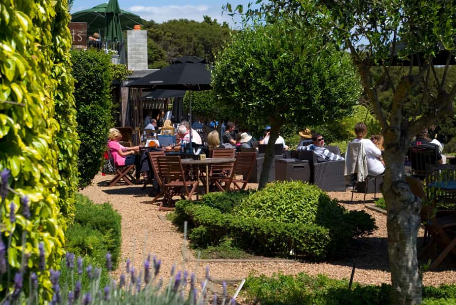 Waiheke Island: Scenic PREMIUM Wine Tour. Max 11 clients - Key points at a glance