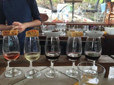 Scenic PREMIUM Wine Tour. Max 11 clients