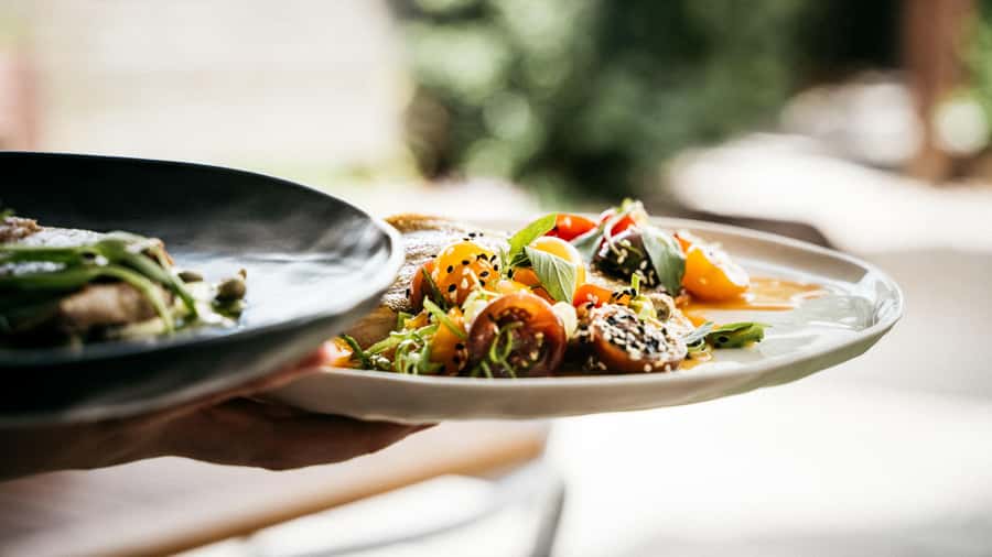 Waiheke Island: The Essence of Waiheke Wine Tour - Mudbrick: a scenic first taste