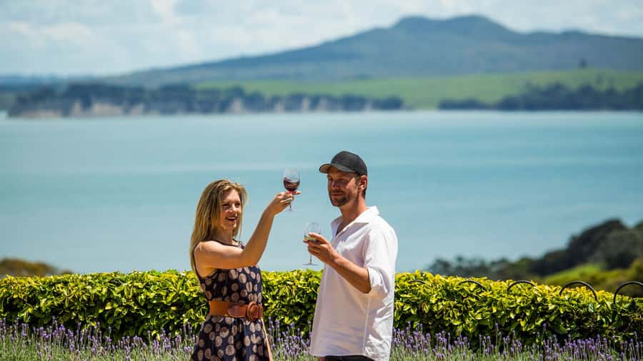 Waiheke Island: The Essence of Waiheke Wine Tour - Goldie: history, vines, and a change of pace