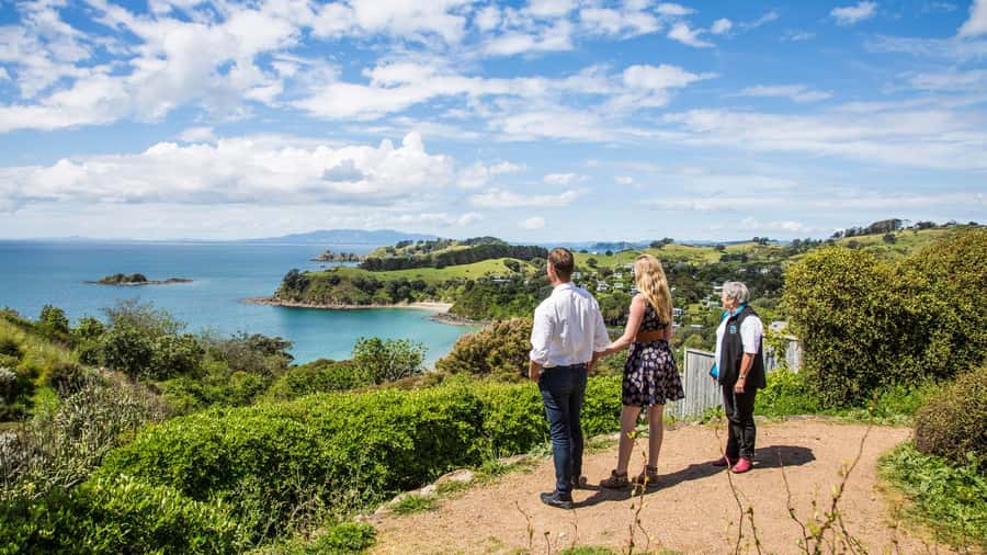 Waiheke Island: The Essence of Waiheke Wine Tour - Who should book this tour?