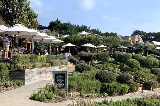 Waiheke Island Vineyards and Bush Walk - Through restored bush and up to the headland
