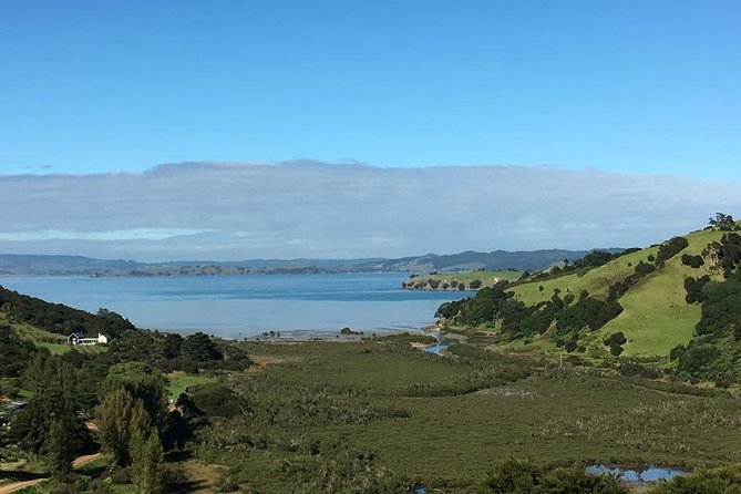 Waiheke Island Vineyards and Bush Walk - The guides are a big part of the value