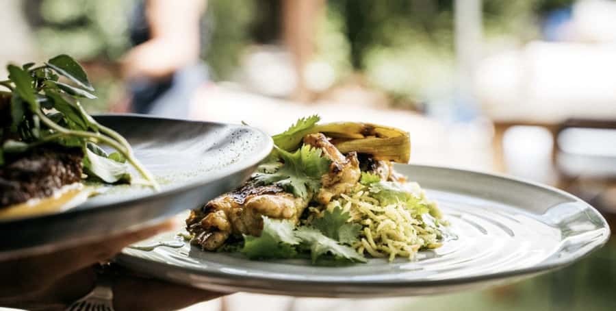 Waiheke Island: Wine Tour & Lunch at Award Winning Venue - Key points at a glance