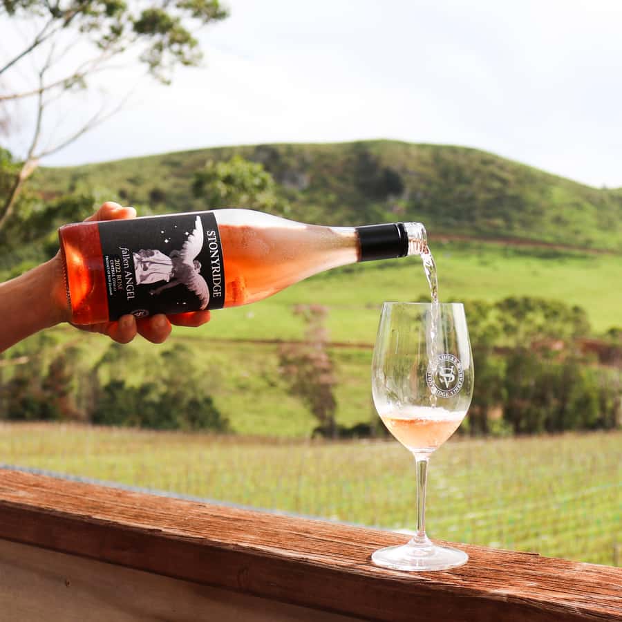 Waiheke Island: Wine Tour & Lunch at Award Winning Venue - The drive through Waiheke with a local guide