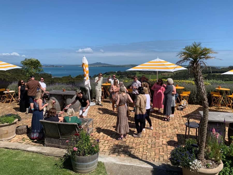 Waiheke Island: Wine Tour & Lunch at Award Winning Venue - Three vineyards in the Onetangi Valley