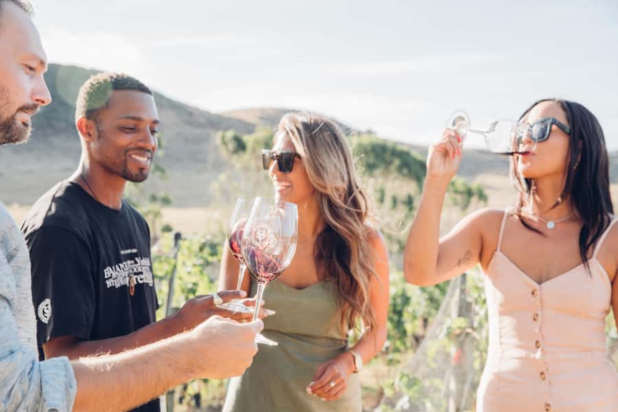 Waiheke Island: Wine Tour & Lunch at Award Winning Venue - Getting from Auckland to Matiatia Wharf
