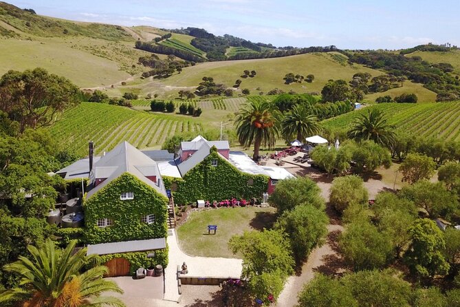 Waiheke Island Wine Tour with Tastings & Gourmet Beachfront Lunch - Three Seven Two puts lunch beside Onetangi Beach