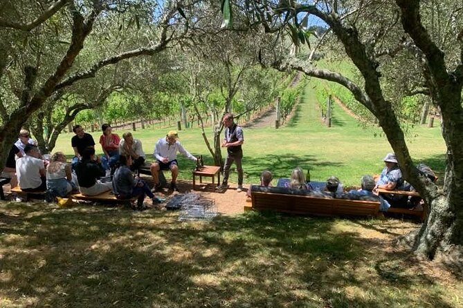 Waiheke Island Wine Tour with Tastings & Gourmet Beachfront Lunch - Stonyridge offers a change of mood