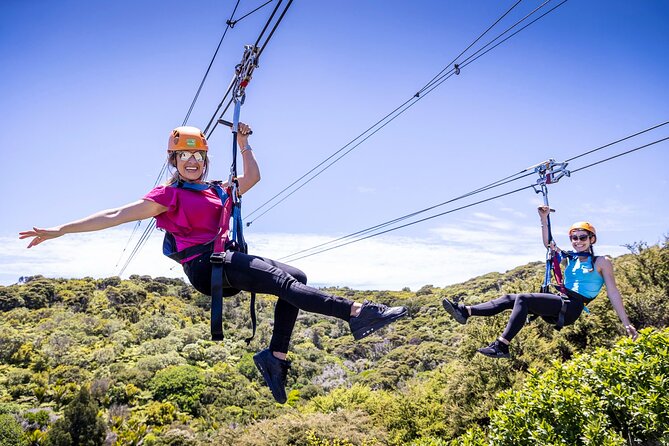 Waiheke Island: Zipline And Forest Walk - Key points to know before you book