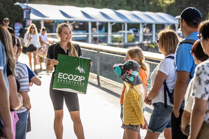 Waiheke Island: Zipline And Forest Walk - Why this Waiheke outing works so well