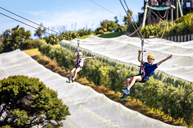 Waiheke Island: Zipline And Forest Walk - The first zipline eases you into the action
