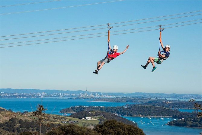 Waiheke Island: Zipline And Forest Walk - Three flights over vineyard, valley, and forest