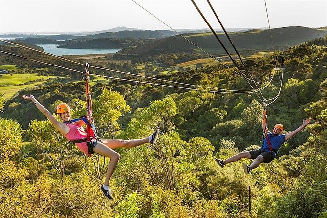 Waiheke Island: Zipline And Forest Walk - Ferry costs change the true price