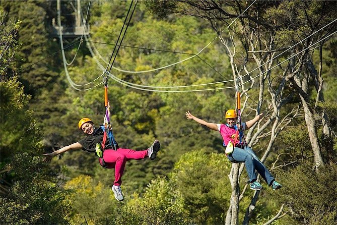 Waiheke Island: Zipline And Forest Walk - Who should book this Waiheke adventure