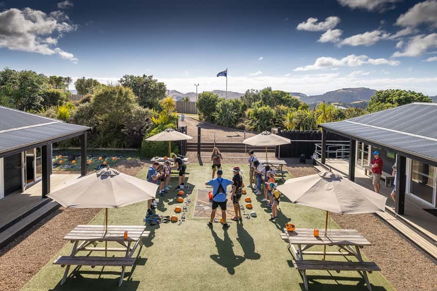 Waiheke Island: Zipline and Native Forest Adventure Trip - Should you book this Waiheke zipline adventure?
